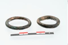 Foto von Bronzering (NHMW-PRAE-025287)